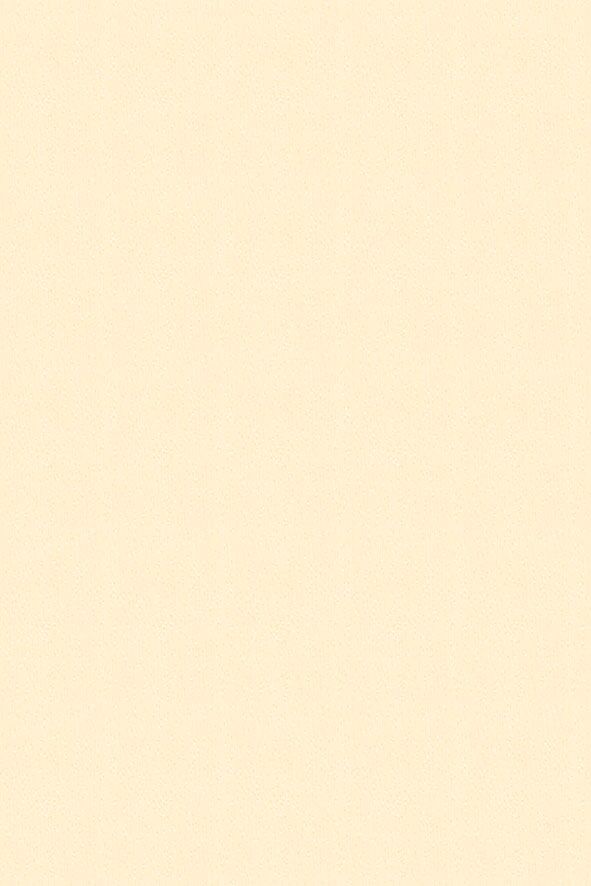 Image Missing